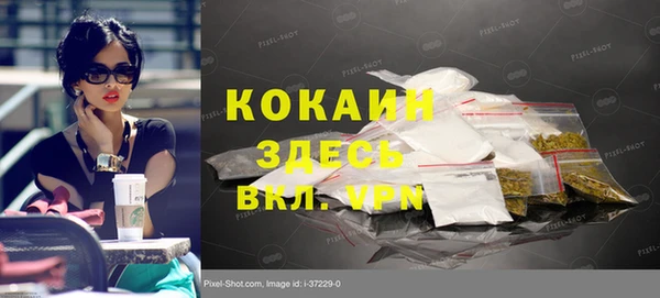 сатива Верхний Тагил