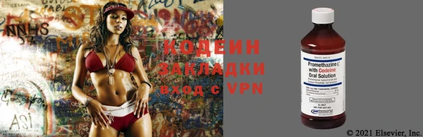 сатива Верхний Тагил