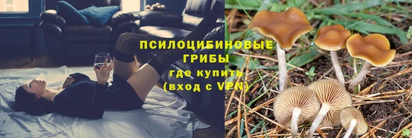 каннабис Бородино