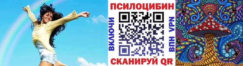 купить наркотики цена darknet как зайти Галлюциногенные грибы MAGIC MUSHROOMS Дмитров